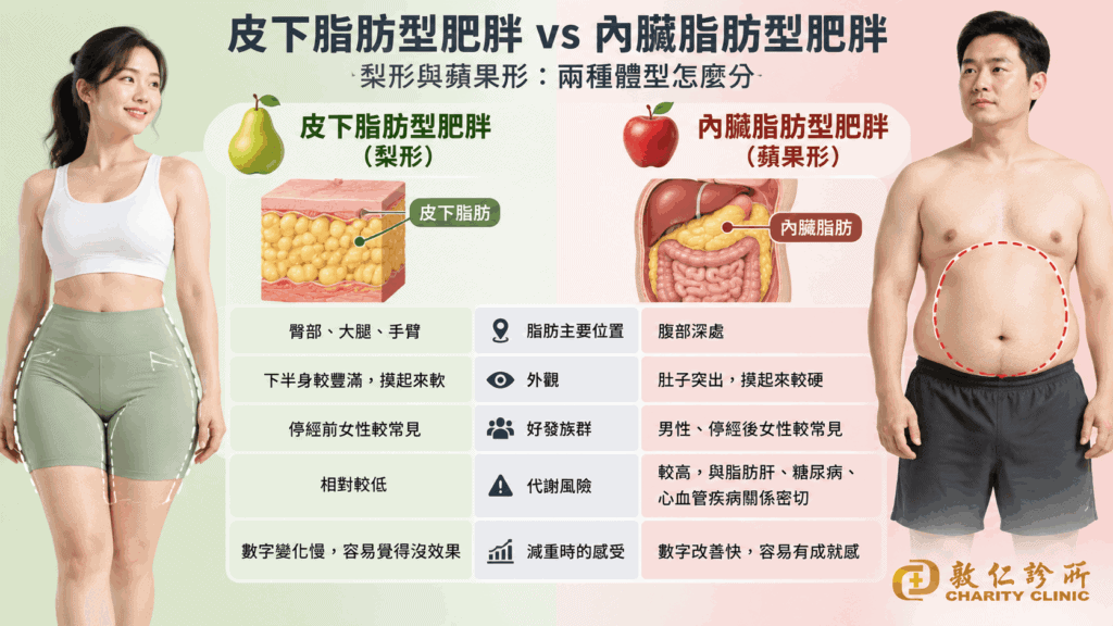 梨形與蘋果形身材比較圖表